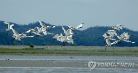 안산 대부도·대송습지 생태관광지역 지정