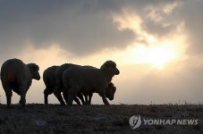 함께 가자 우리 이길을