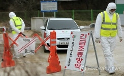 영천에서 발생한 구제역