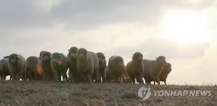 함께 가자 우리 이길을