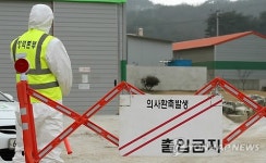 충북 괴산에서 구제역 의심돼지 발견…12월이후 28번째