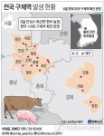 용인 원삼 돼지농장 두 곳서 구제역 확진 판정(종합)