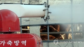 한우 축사 소독작업