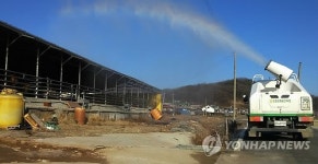 4년전 악몽 안 돼 인천 강화 축산농가 긴장 고삐