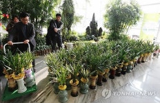 광주시청 승진 축하 난 화분 기부