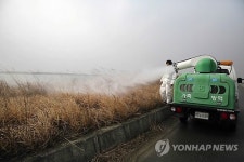 조류 AI 차단 방역