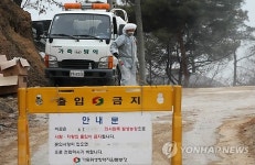 축산도시 안성 소·돼지 구제역에 AI까지