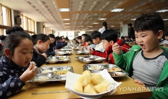 용인시, 학교급식에 친환경 우수농산물 공급(종합)