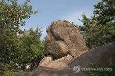 세계적인 희귀암석 구상반려암