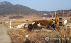 경남 고성 오리 농장서 AI 양성 판정