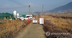 경남 고성 오리 농장서 AI 양성 판정