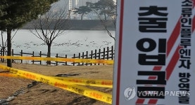 수원 서호 철새 어찌하오리까