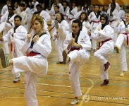 태권도 삼매경