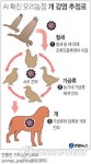 <그래픽> AI 확진 오리농장 개 감염 추정로