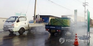 소독작업 이뤄지는 김포시 통진읍 도로