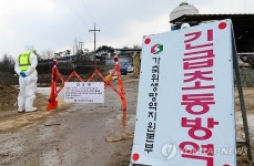 전국 최대 축산단지 홍성도 구제역…확산일로
