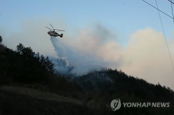 삼척 산불 소강상태…산림 6 소실
