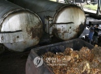 대체에너지 바이오연료, 환경파괴 논란 직면