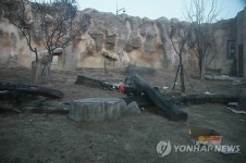 사육사 숨진 어린이대공원 맹수마을 사자 방사장