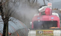 설 연휴 구제역 확진 평택 돼지농장 방역작업