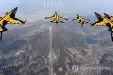블랙 이글의 축하비행 연습