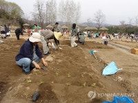 용인시, 시민농장 텃밭 320구좌 분양