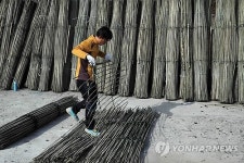 매생이발 다듬는 어부의 손길