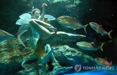 63씨월드 봄의 요정과 63램프 공연
