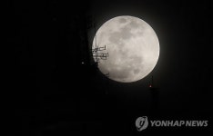둥글둥글