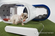 삼성 드림 도그하우스
