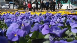 봄 마중