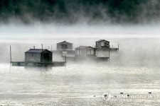 안성 고삼호수 개발사업 하세월…면적·사업비 반토막
