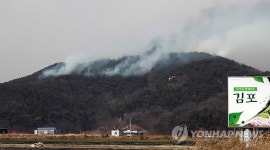 쓰레기 태우다 김포 봉성산에 불…0.6ha 피해