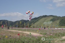 KTX울산역 앞 대규모 코스모스 경관단지 조성