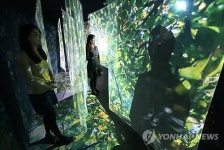 시민청 미디어아트 숲에서 재충전하세요