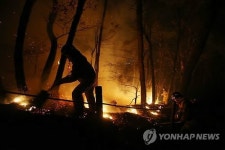 서울 불암산 학도암 부근서 큰불…정상쪽으로 번져(4보)