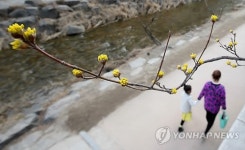 포근한 봄날씨…서울 18.6도·광주 22.1도(종합)