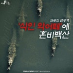 <이슈픽> 잠베지 크루즈 관광객 식인 악어떼에 혼비백산