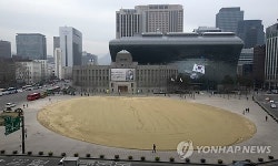 새 잔디 심을 시청광장
