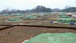 신라시대 숨결을 간직한 월성
