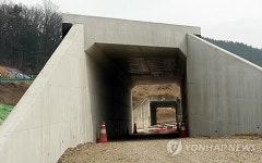 원주 점실마을 길이 132ｍ…통로박스 아니라 터널