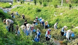 도랑살리기 사업 펼치는 증평군