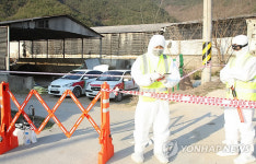 밀양 돼지농가서 구제역 의심 신고