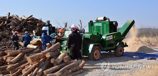 재선충병 소나무로 만든 톱밥 울주군 농가에 무료제공