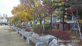 학교 숲 조성된 수원 수성고