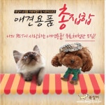 복실이 쇼핑몰, 애견간식 무료체험단 모집