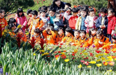 봄꽃 정원으로 변신한 광주 북구청 광장