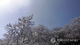 봄에 핀 설악산 대청봉 상고대