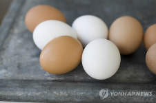 매주 계란 4개, 당뇨병 위험 37%↓<핀란드 연구팀>