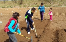 <카메라뉴스> 도심속 텃밭 시민농원 찾아온 성남시민들